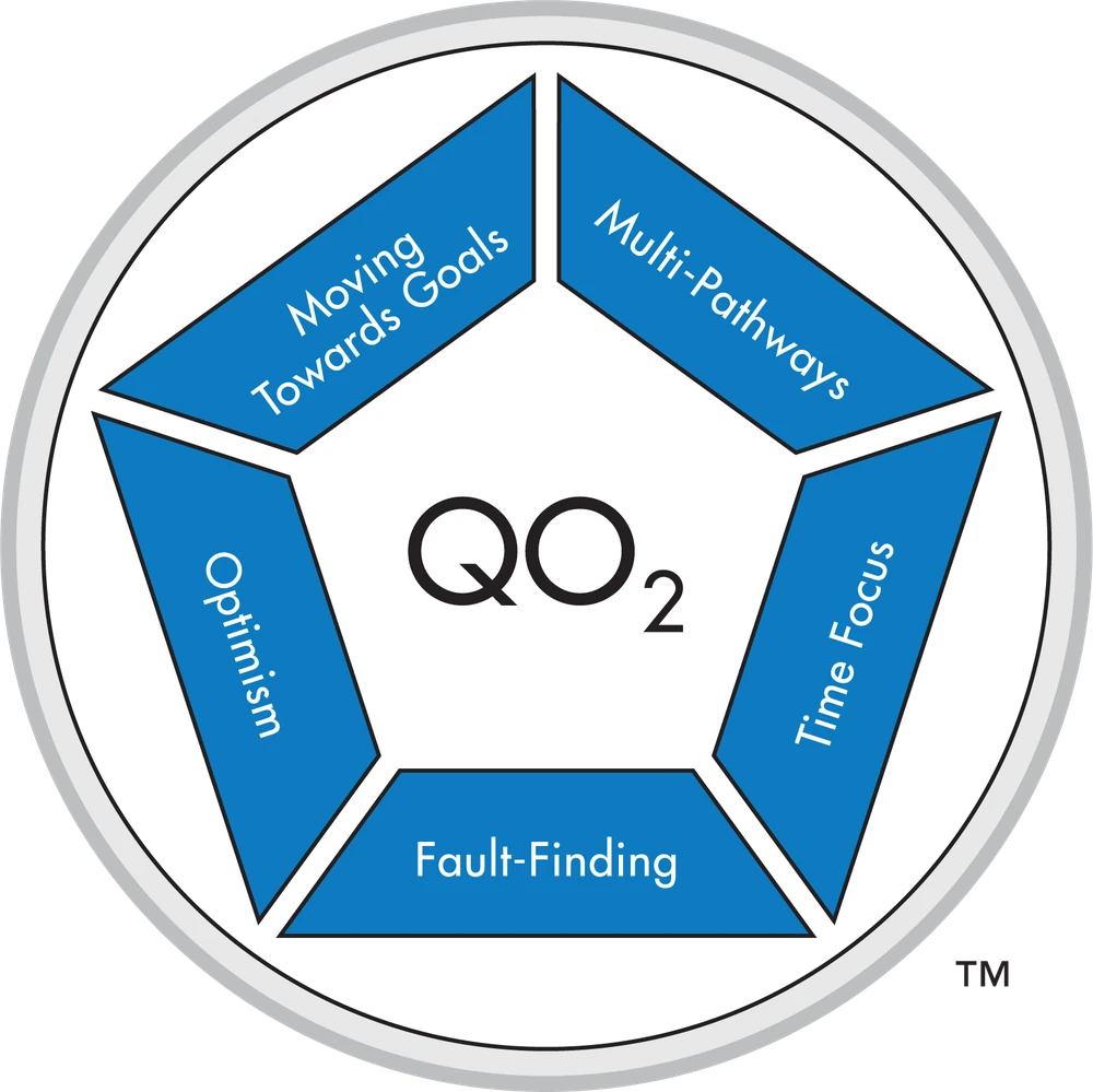 TMS Global QO₂ Risk-Orientation Model showing the five subscales (MTG Energy, Multi-Pathways, Optimism, Fault-Finding, Time Focus)